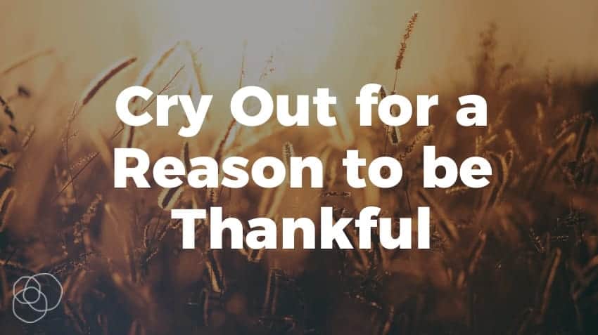 Cry Out For A Reason To Be Thankful
