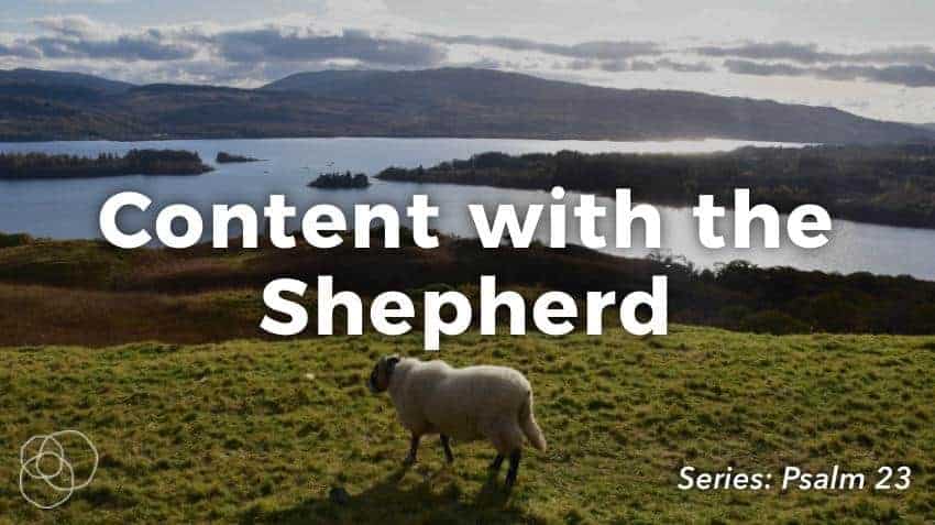 Content With The Shepherd
