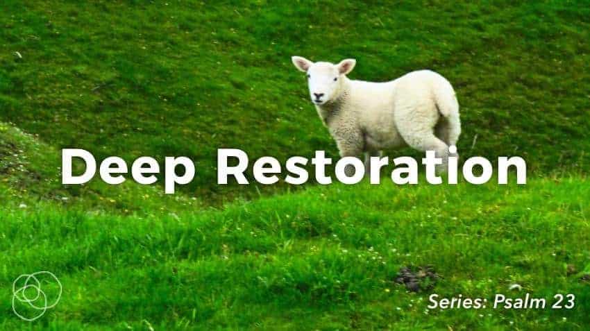 Deep Restoration