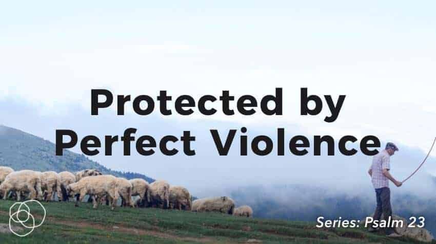 Protected By Perfect Violence