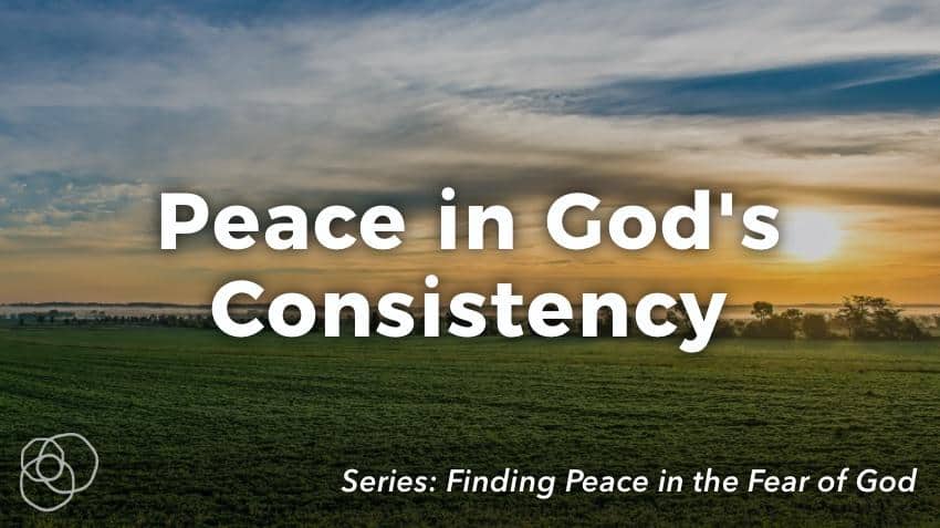 Peace In God'S Consistency