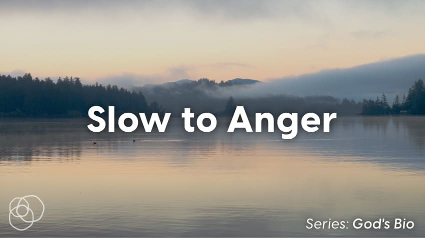 Slow To Anger