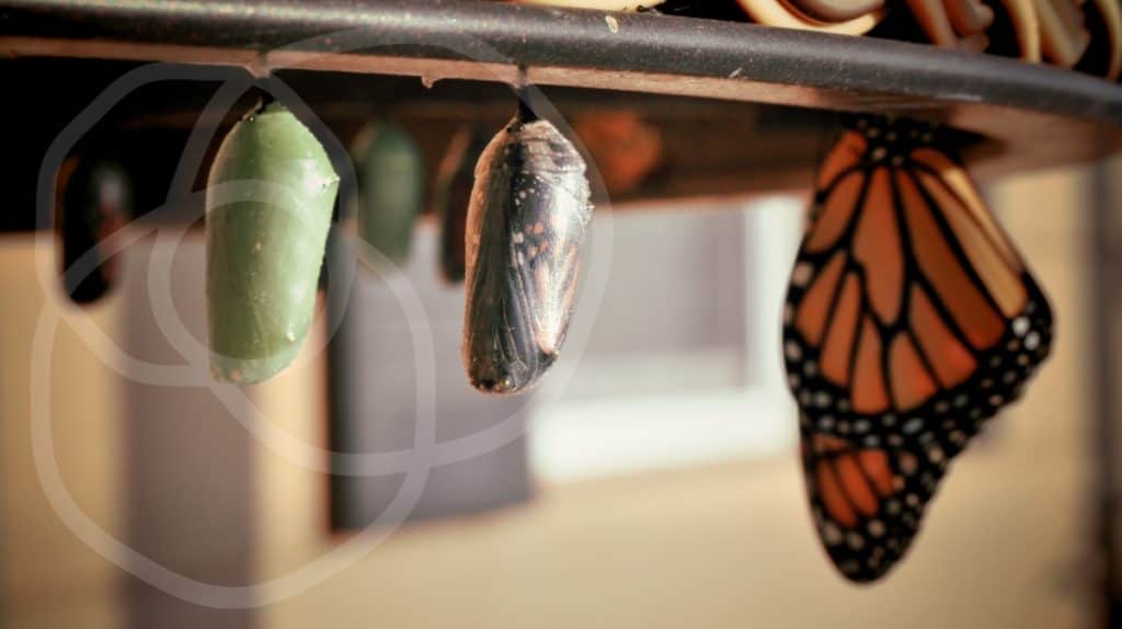 Spiritual Stages blog series