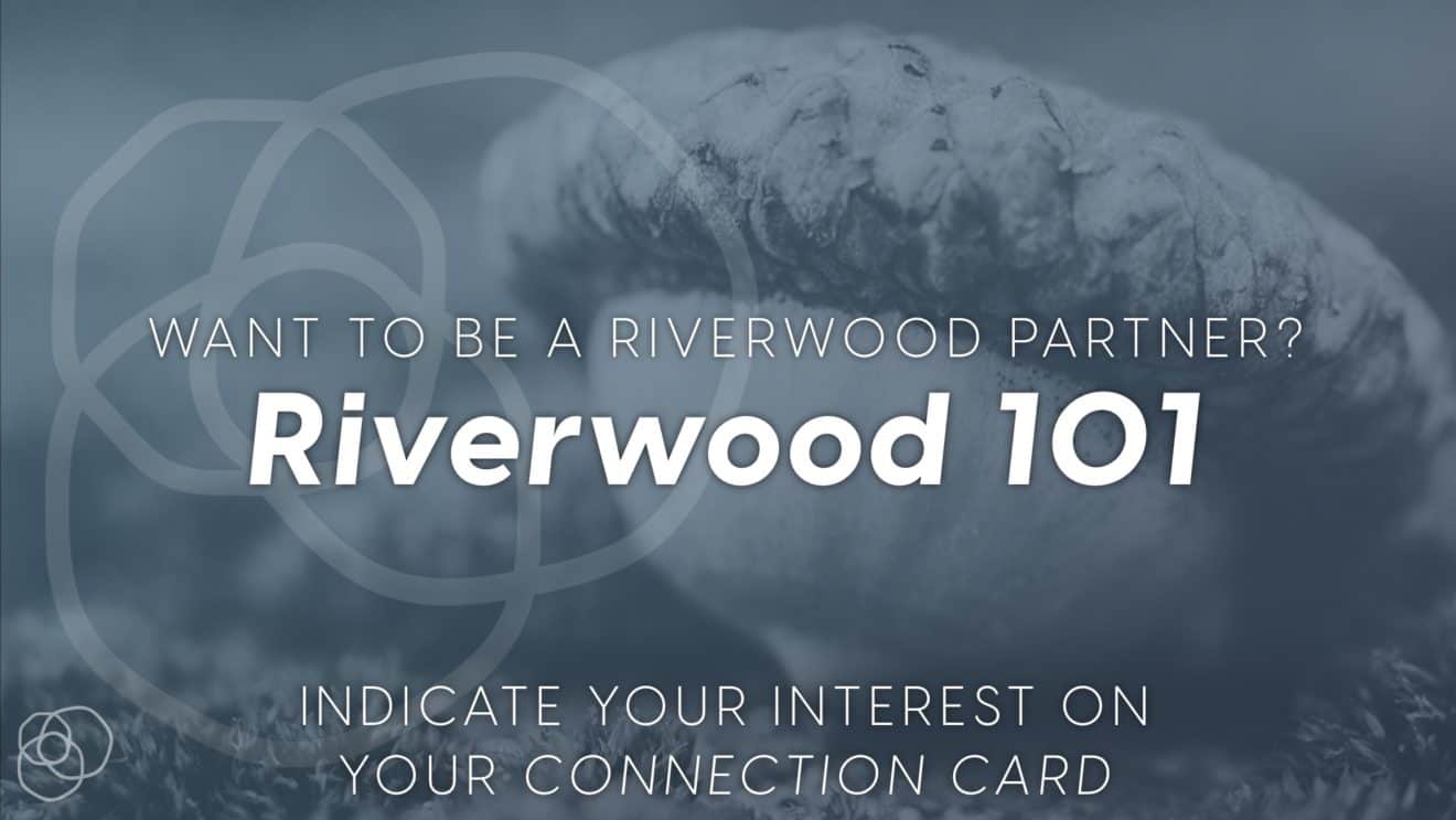 Riverwood_101