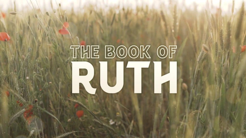 A Providential Love (Ruth #3)