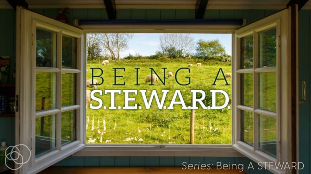 Being A Steward