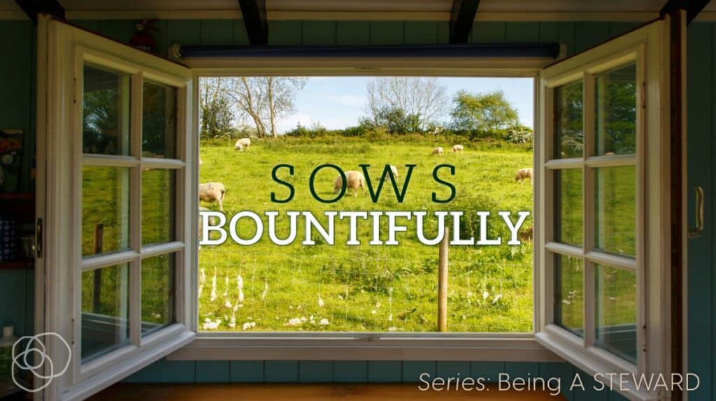 Sows Bountifully