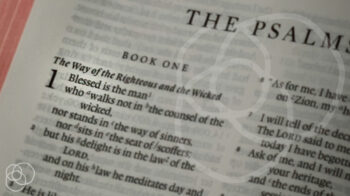 Eat Small • Riverwood Church