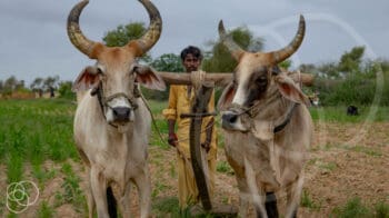 Leader • Riverwood Church